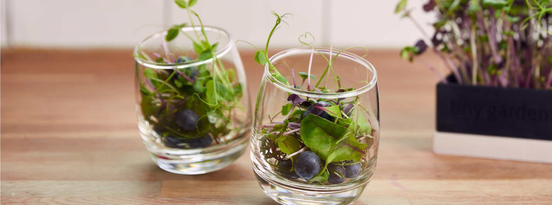 Sådan dyrker du spirer i glas