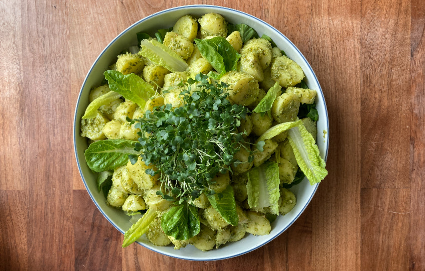 Kartoffelsalat med pesto og sortkålsspirer