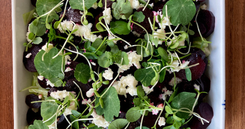 Salat med rødbeder, feta, urter og solsikkeskud