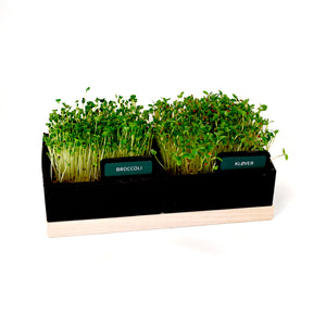 Planteskilte
